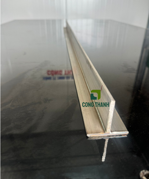 Ray chữ T dây chuyền giết mổ gà vịt