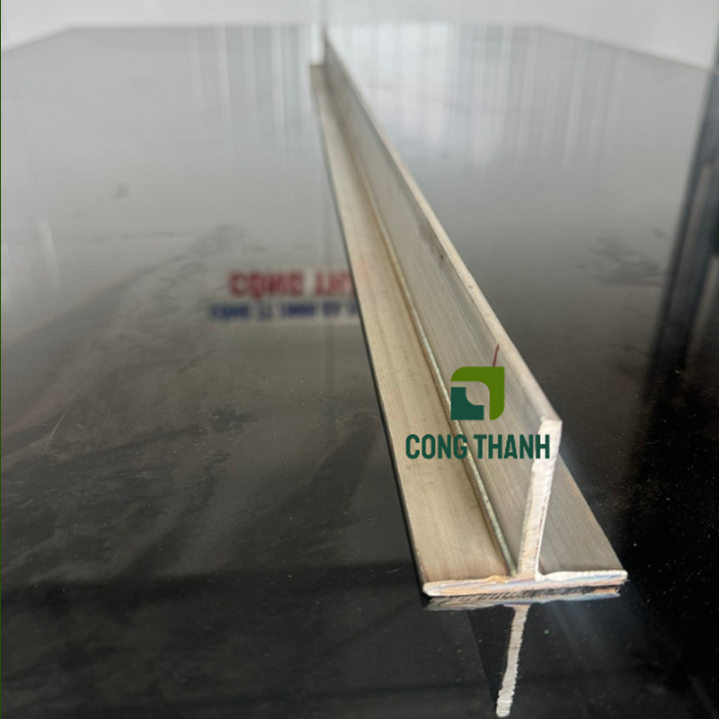 Ray chữ T dây chuyền giết mổ gà vịt 